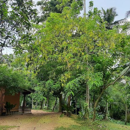 Nature'S Hideout Holiday Home Mirigama المظهر الخارجي الصورة