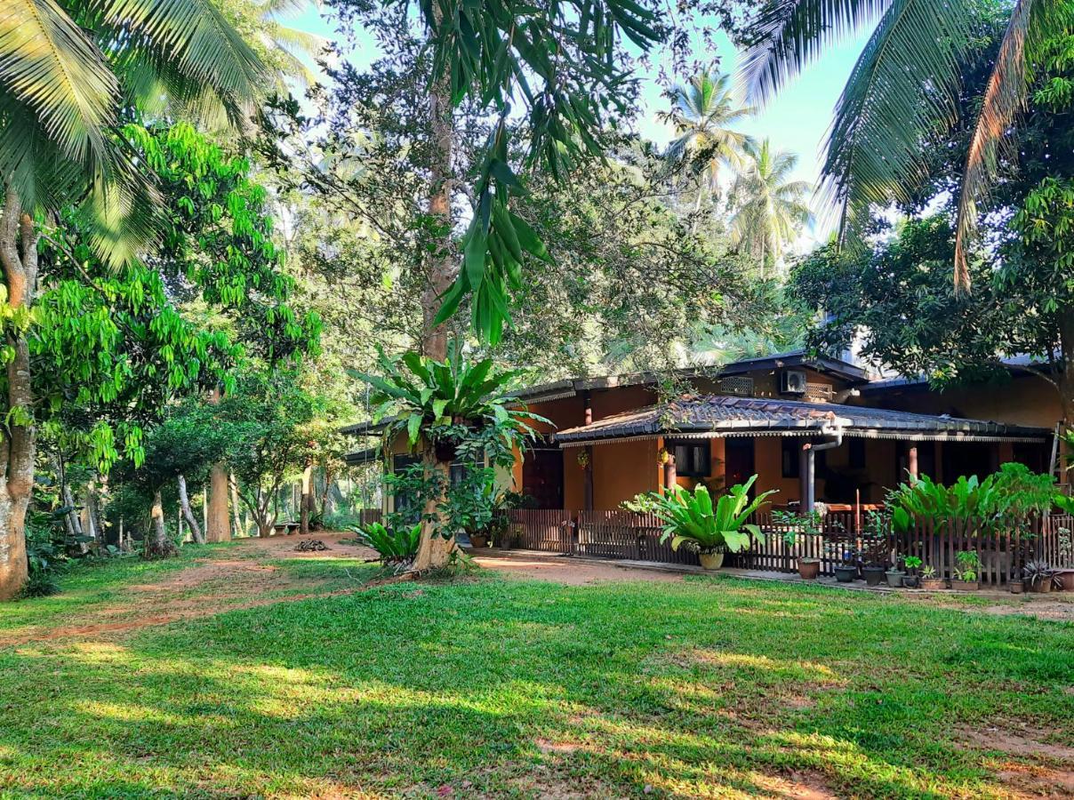 Nature'S Hideout Holiday Home Mirigama المظهر الخارجي الصورة