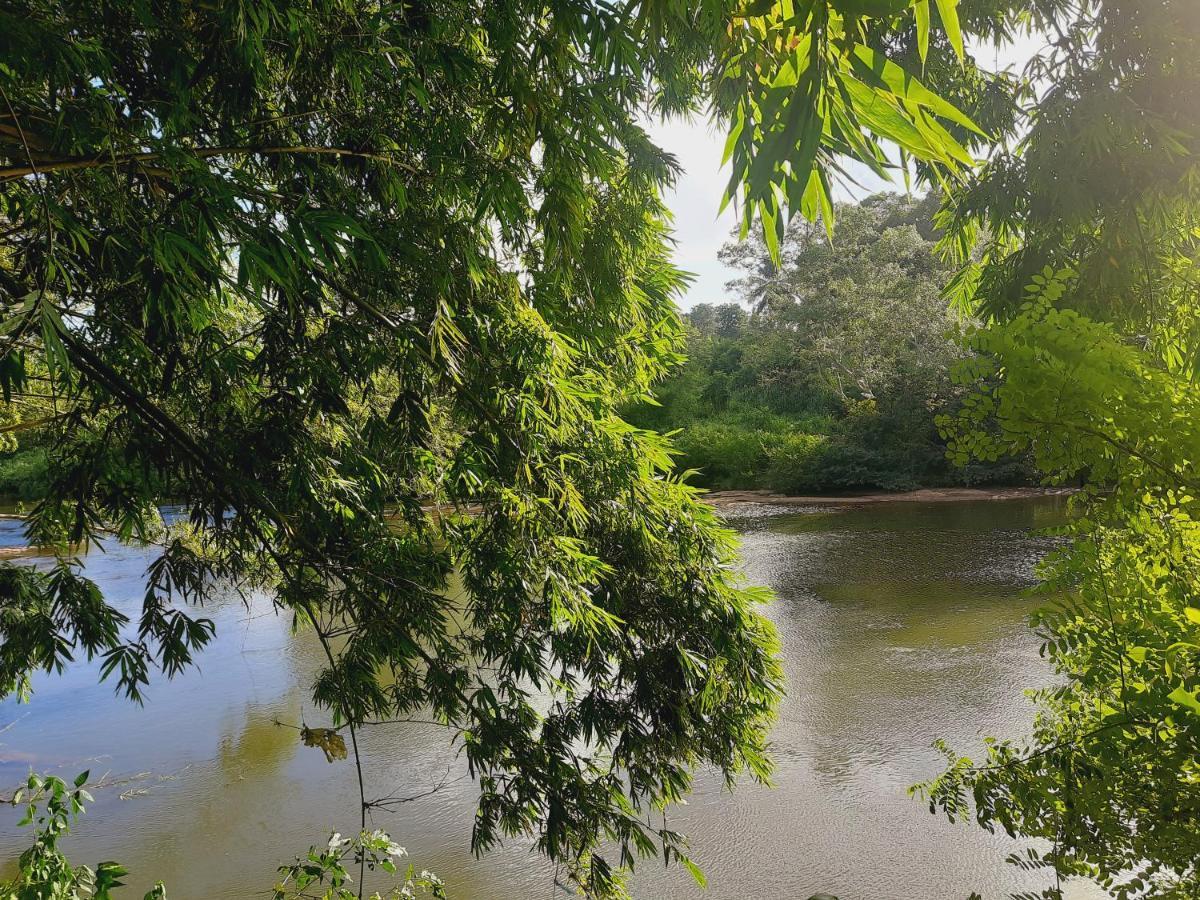 Nature'S Hideout Holiday Home Mirigama المظهر الخارجي الصورة