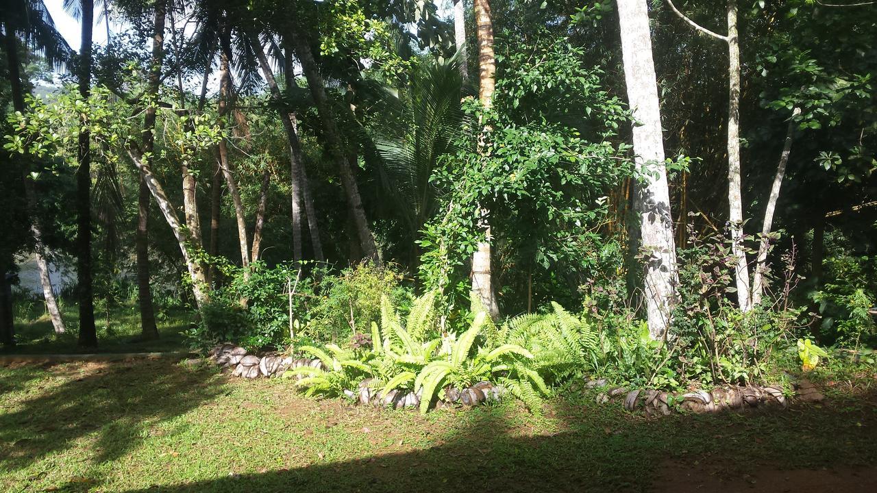 Nature'S Hideout Holiday Home Mirigama المظهر الخارجي الصورة