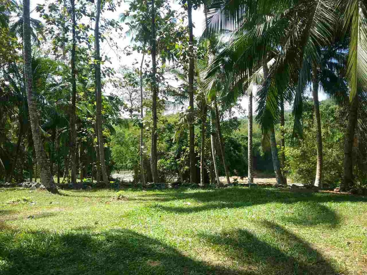 Nature'S Hideout Holiday Home Mirigama المظهر الخارجي الصورة