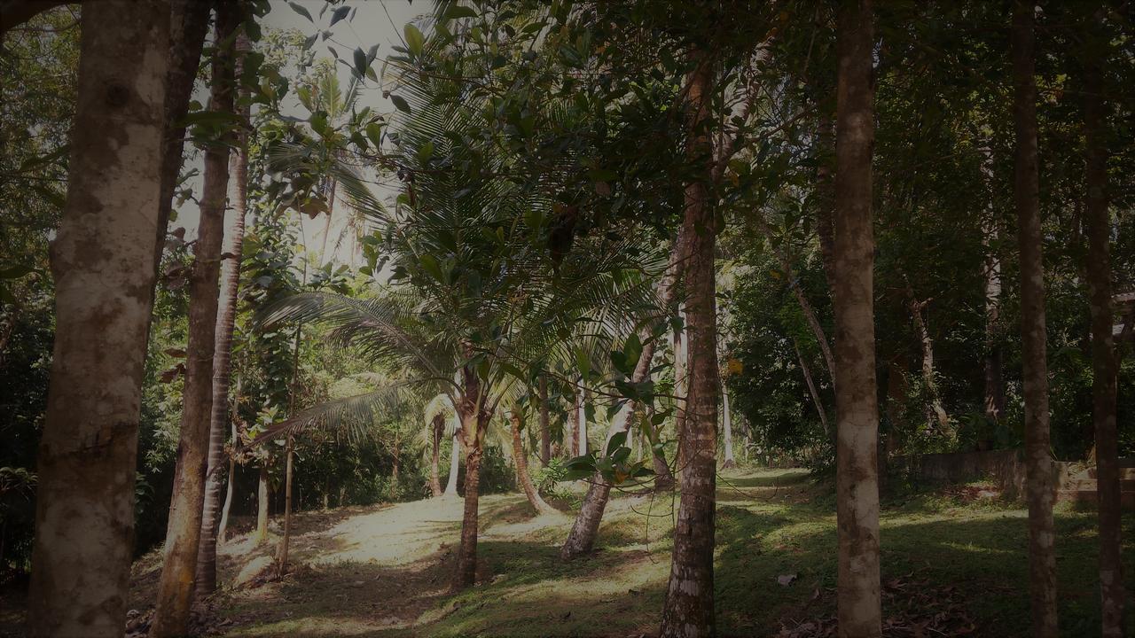 Nature'S Hideout Holiday Home Mirigama المظهر الخارجي الصورة