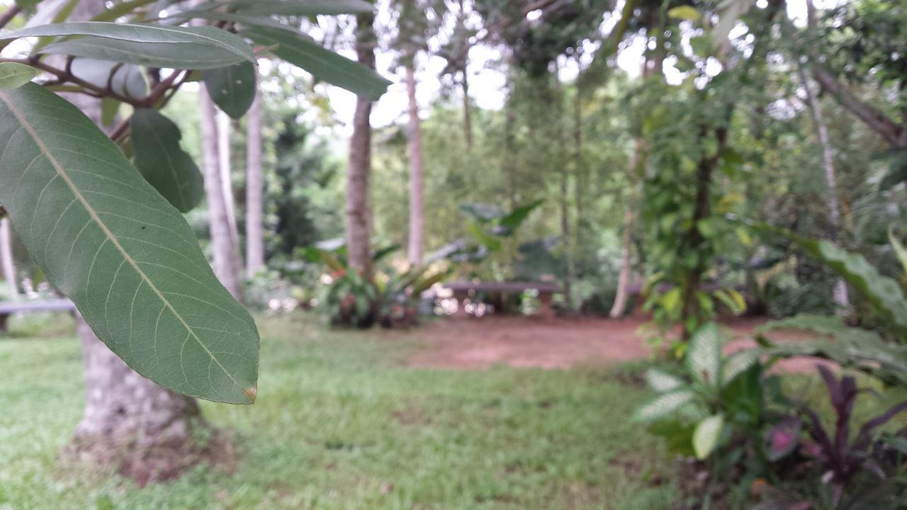 Nature'S Hideout Holiday Home Mirigama المظهر الخارجي الصورة