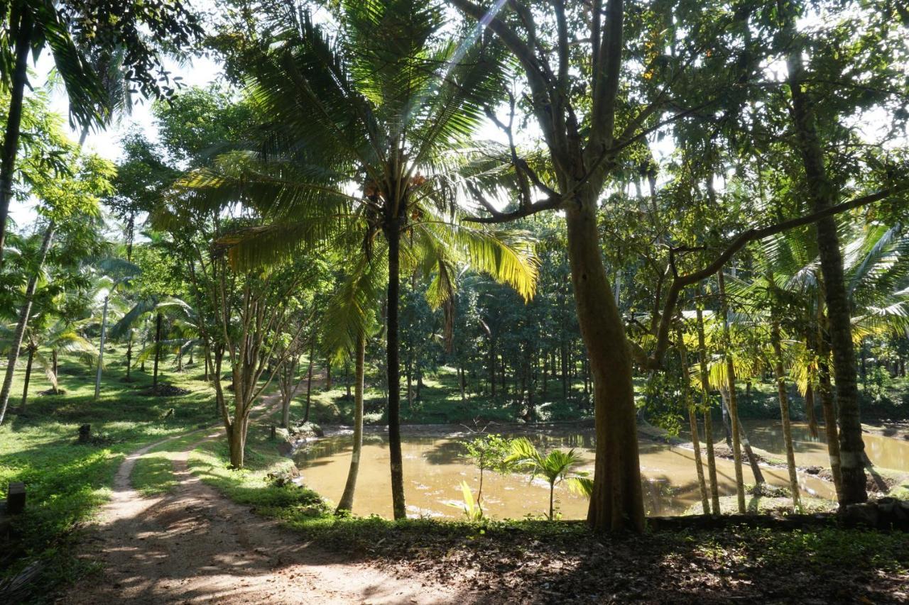 Nature'S Hideout Holiday Home Mirigama المظهر الخارجي الصورة